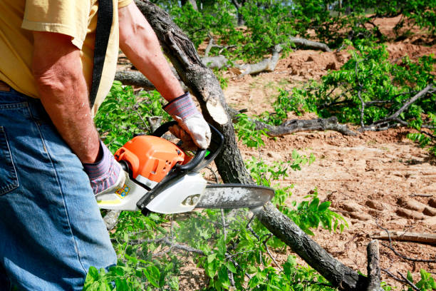 Best Tree Branch Trimming  in Big Lake, WA